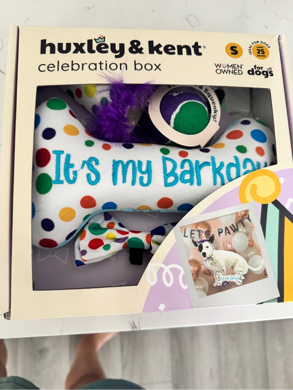 White Polka Dot "It's My Barkday" Celebration Box - Multicolor Accents